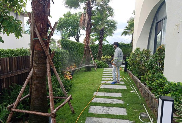 Cảnh Quan Xanh Việt Nam