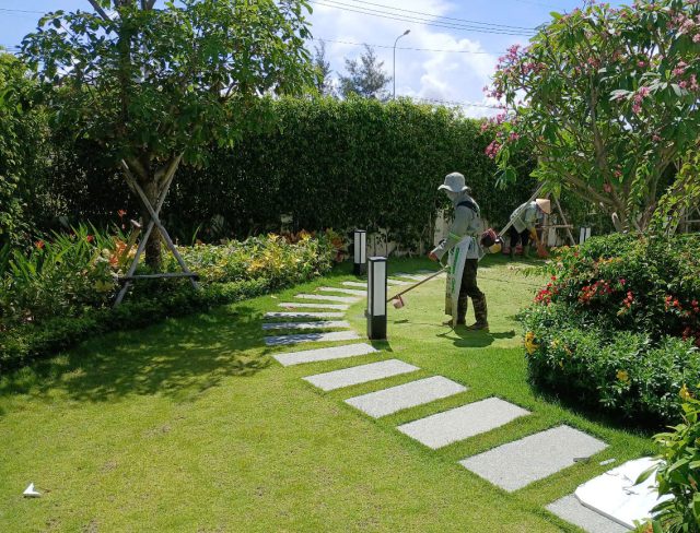 Cảnh Quan Xanh Việt Nam