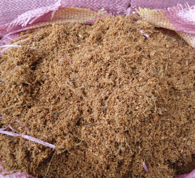 Cảnh Quan Xanh Việt Nam