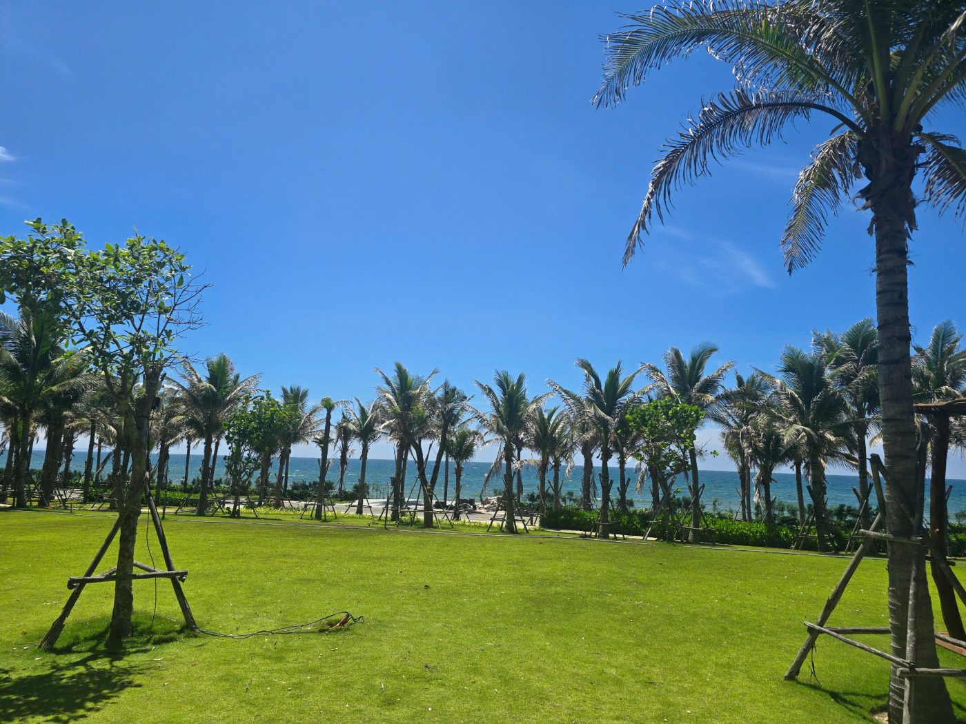 Cảnh Quan Xanh Việt Nam