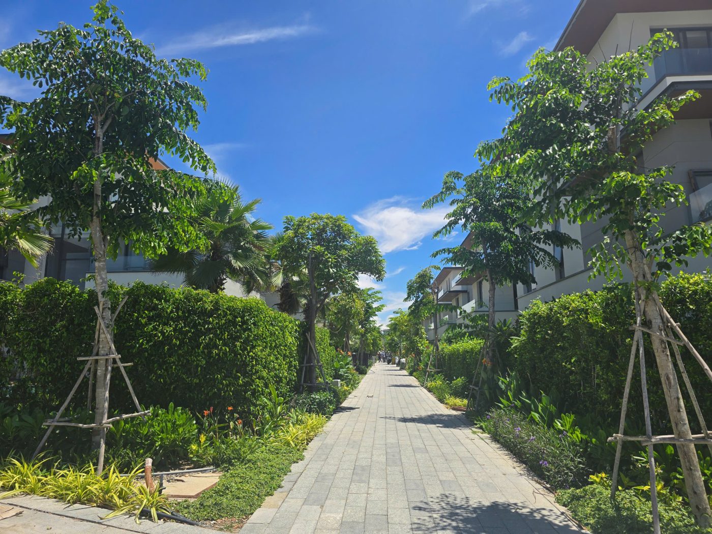 Cảnh Quan Xanh Việt Nam