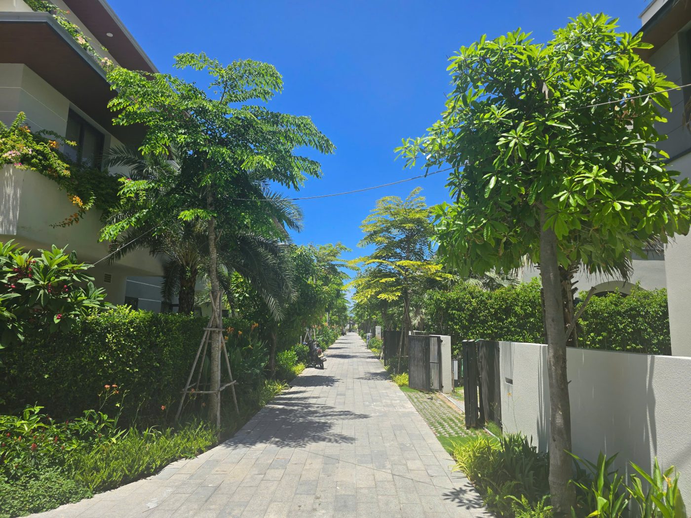 Cảnh Quan Xanh Việt Nam