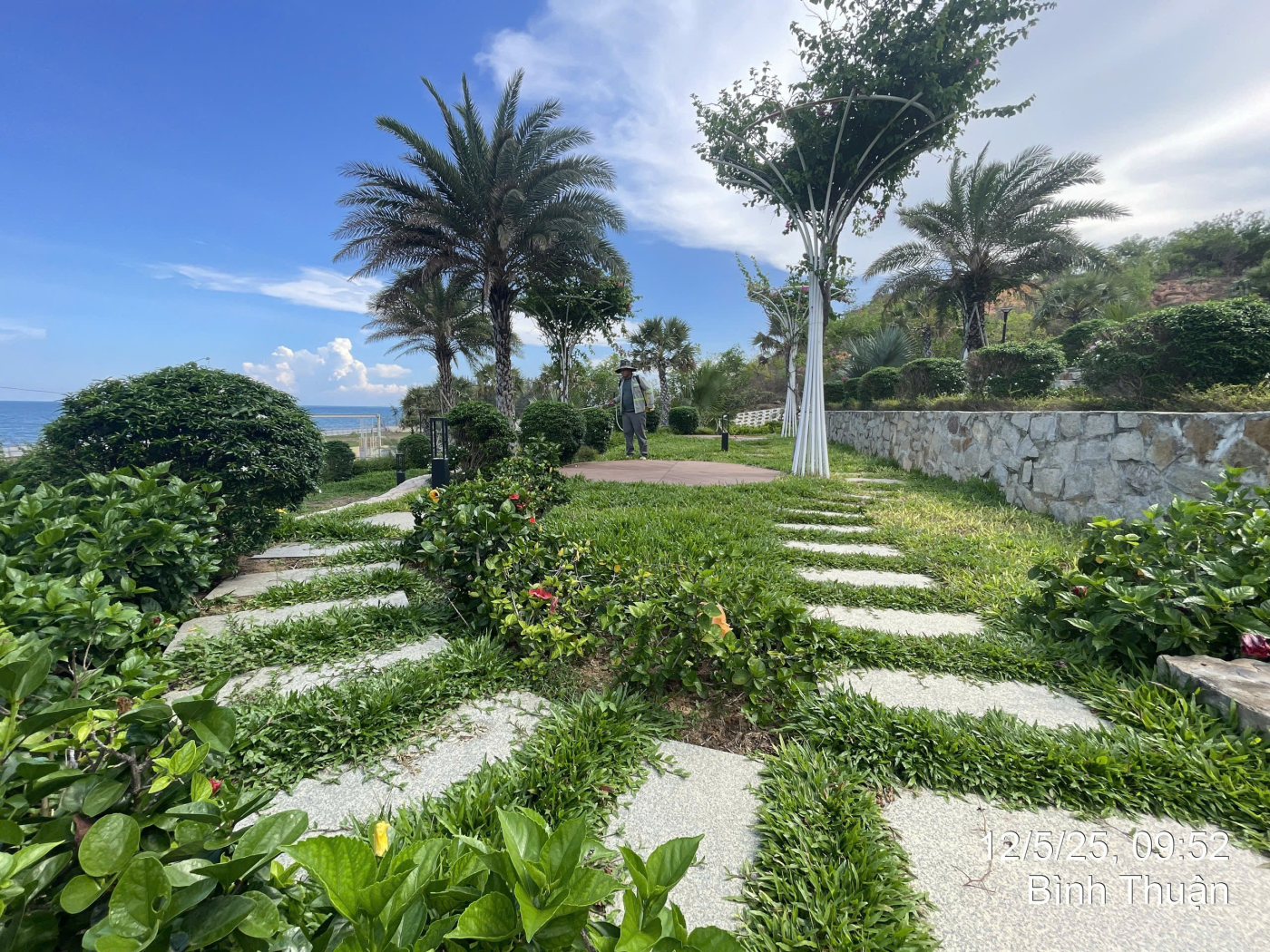 Cảnh Quan Xanh Việt Nam