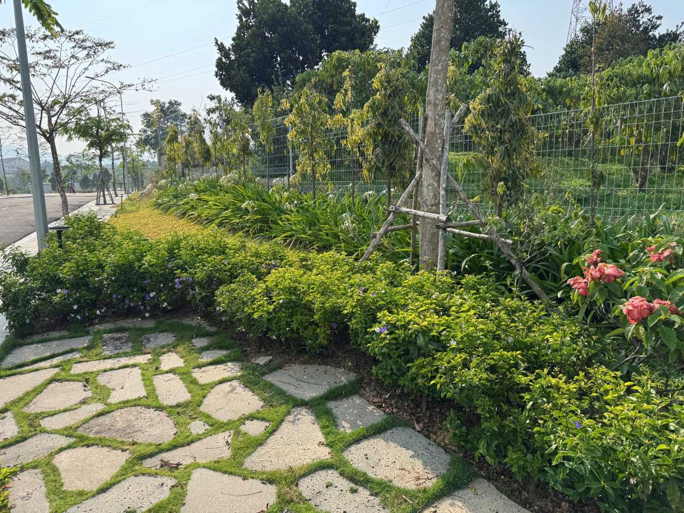 Cảnh Quan Xanh Việt Nam