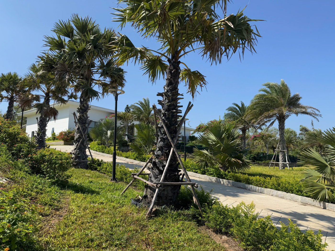 Cảnh Quan Xanh Việt Nam