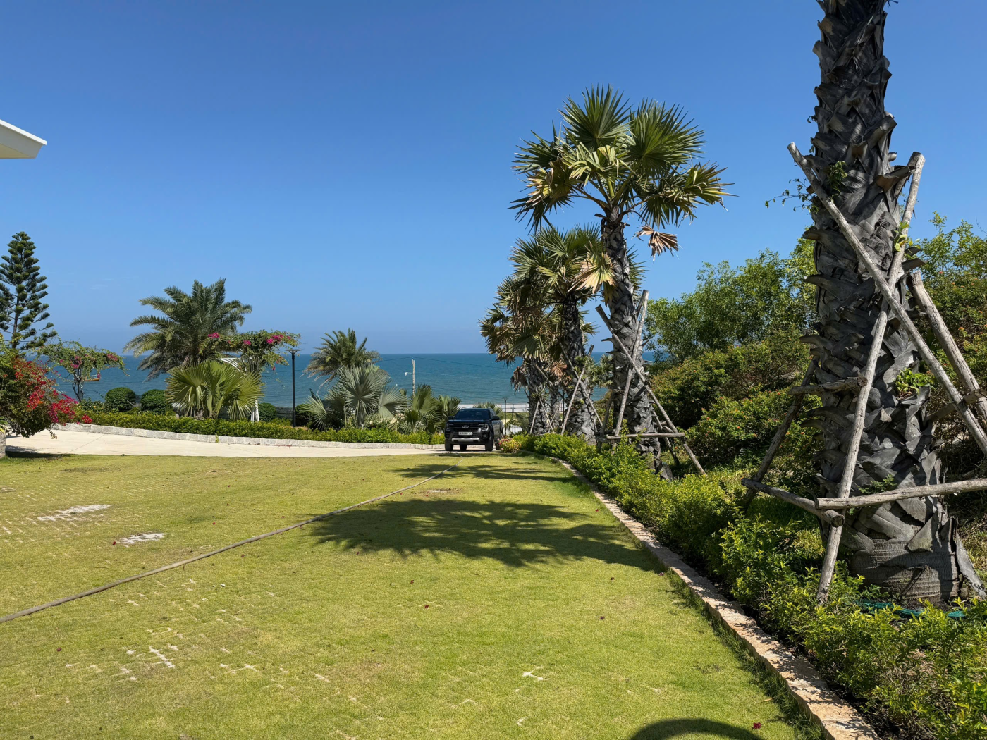 Cảnh Quan Xanh Việt Nam