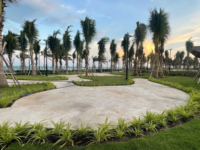 Cảnh Quan Xanh Việt Nam