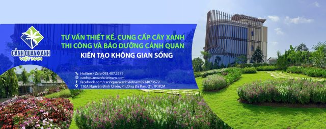 Cảnh Quan Xanh Việt Nam