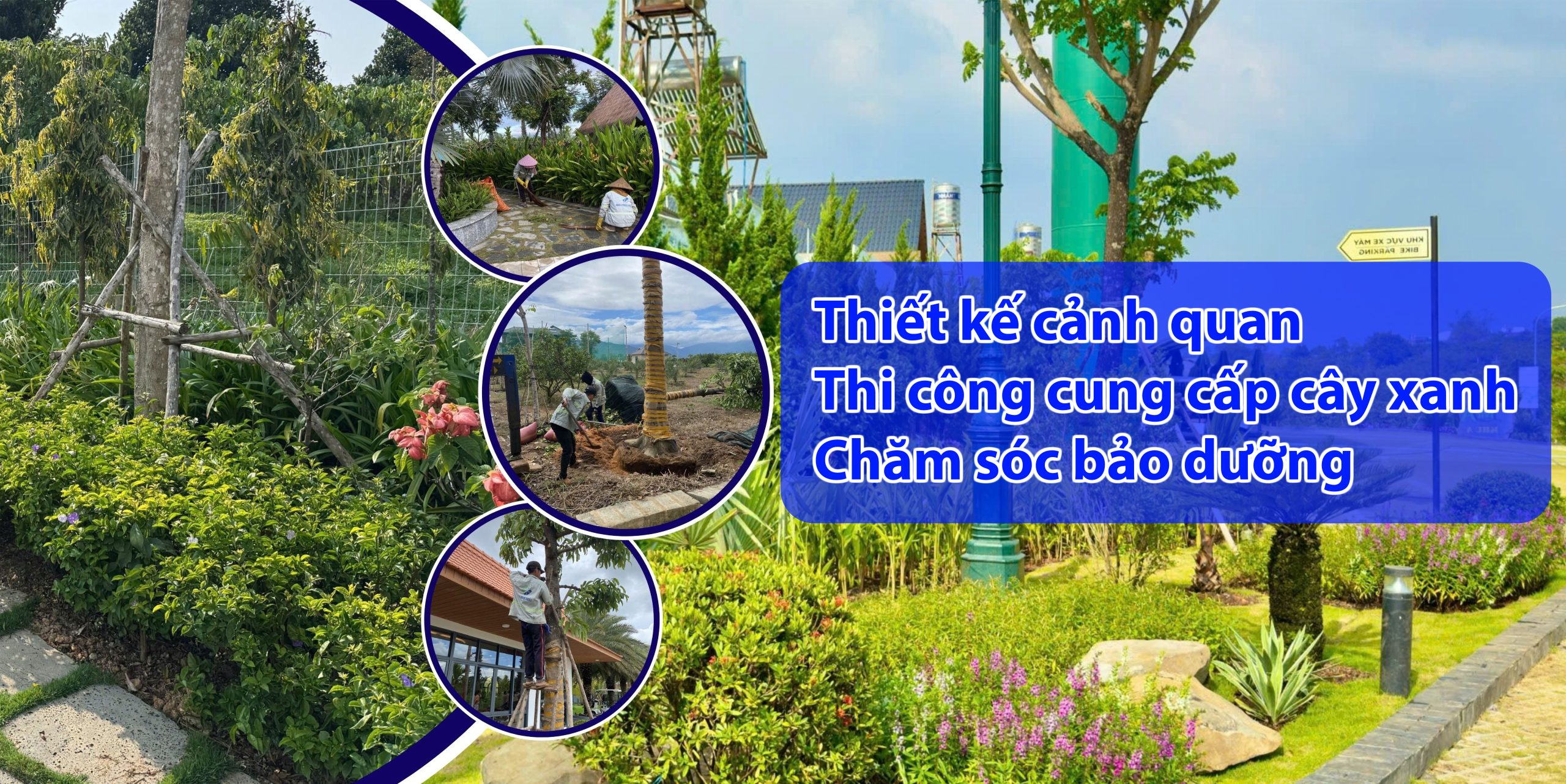 Cảnh Quan Xanh Việt Nam