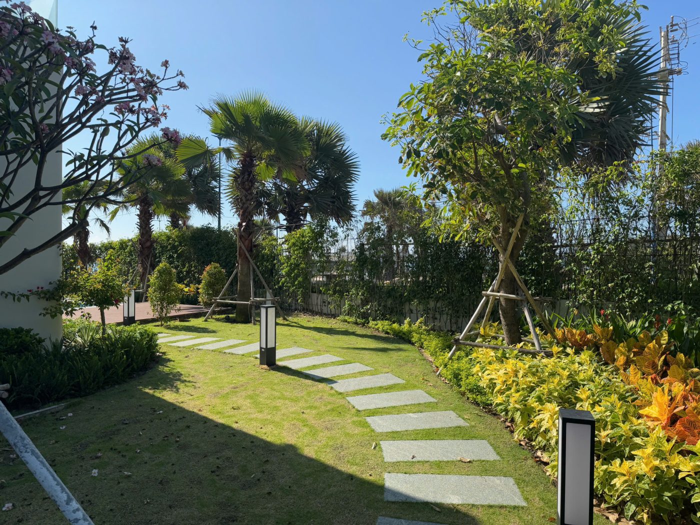 Cảnh Quan Xanh Việt Nam