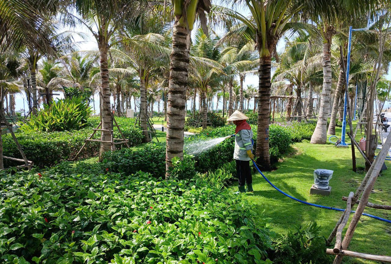 Cảnh Quan Xanh Việt Nam