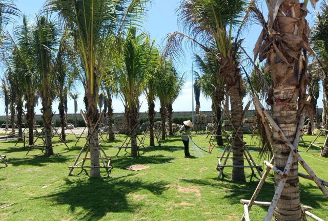 Cảnh Quan Xanh Việt Nam