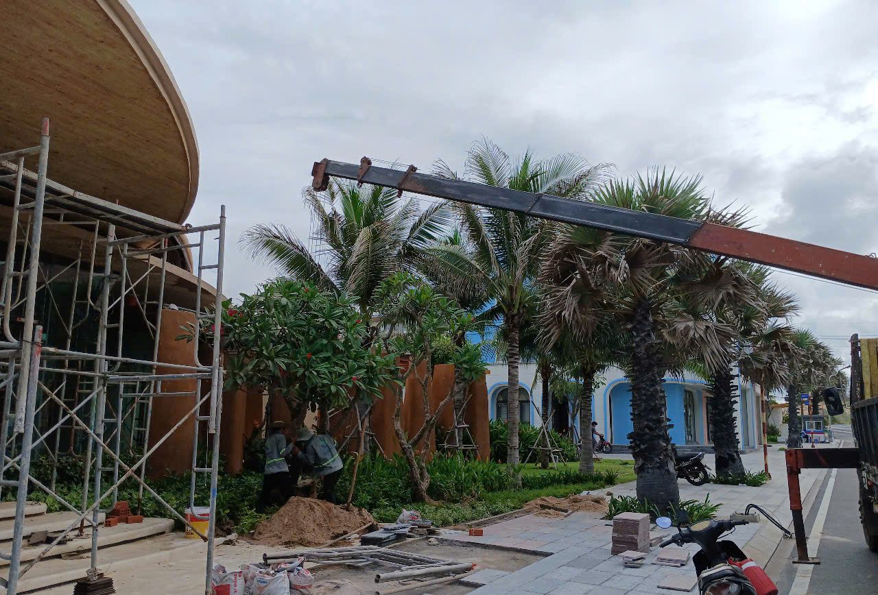 Cảnh Quan Xanh Việt Nam