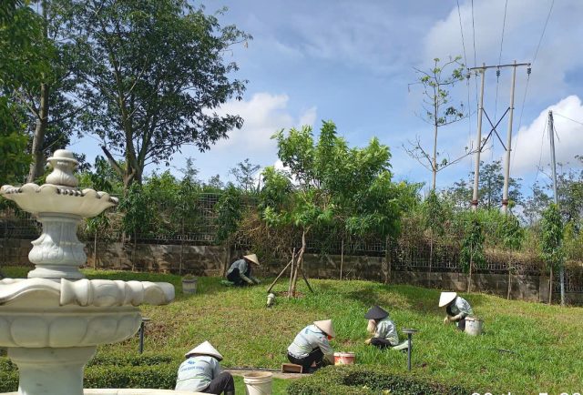 Cảnh Quan Xanh Việt Nam