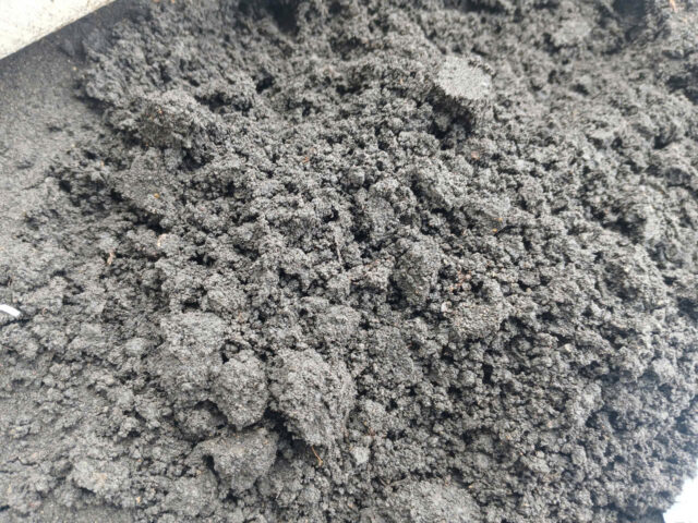 Cảnh Quan Xanh Việt Nam