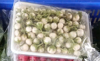 Cảnh Quan Xanh Việt Nam