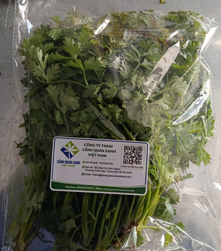 Cảnh Quan Xanh Việt Nam