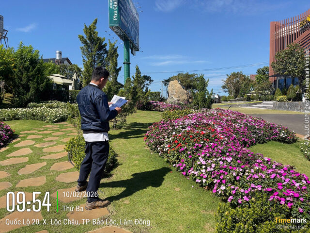 Cảnh Quan Xanh Việt Nam