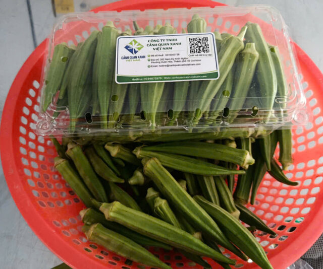 Cảnh Quan Xanh Việt Nam