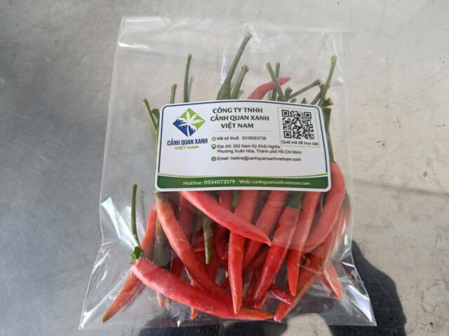 Cảnh Quan Xanh Việt Nam