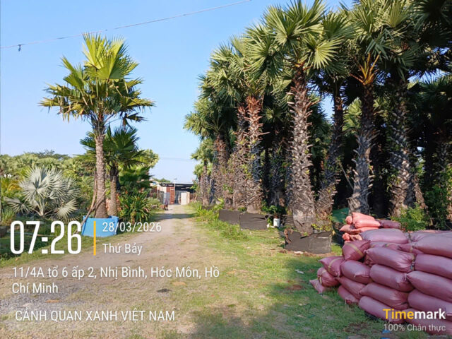 Cảnh Quan Xanh Việt Nam